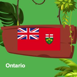 Ontario Province