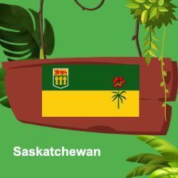 Saskatchewan Province
