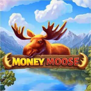 Money Moose