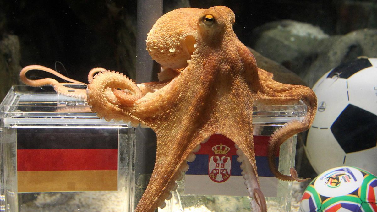 Paul the Octopus