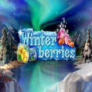 Winterberries