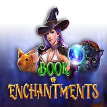 Book of Enchantments wizard games