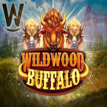 WildWood Buffalo – Wizard Games