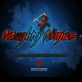 naughty ninjs wgs logo
