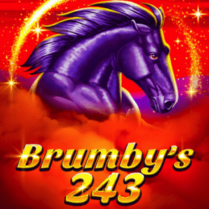 Brumby's 243