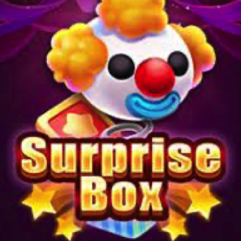 Suprise Box