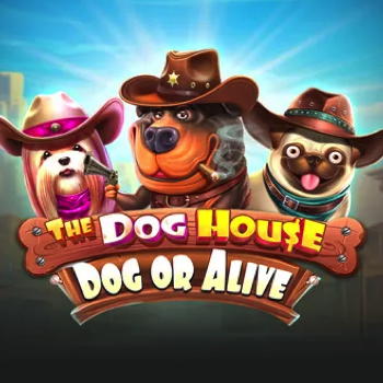 The Dog House – Dog or Alive